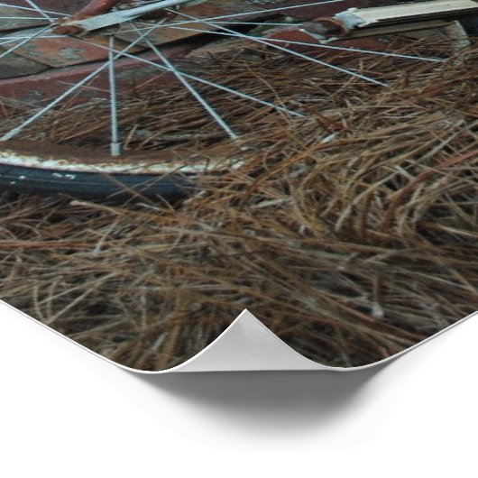 Rusty Bicycle Poster (Hoek)