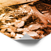 Rusty Garden Tools, zwart en wit Poster (Hoek)