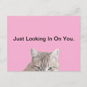 Rusty La Carte Postale Rose Chat