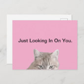 Rusty La Carte Postale Rose Chat (Devant / Derrière)