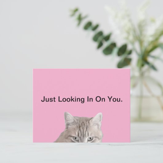 Rusty La Carte Postale Rose Chat (Debout devant)