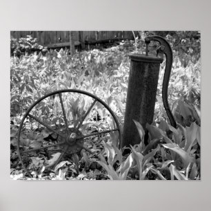 Rusty Pump Wheel Flower Garden zwart en wit Poster