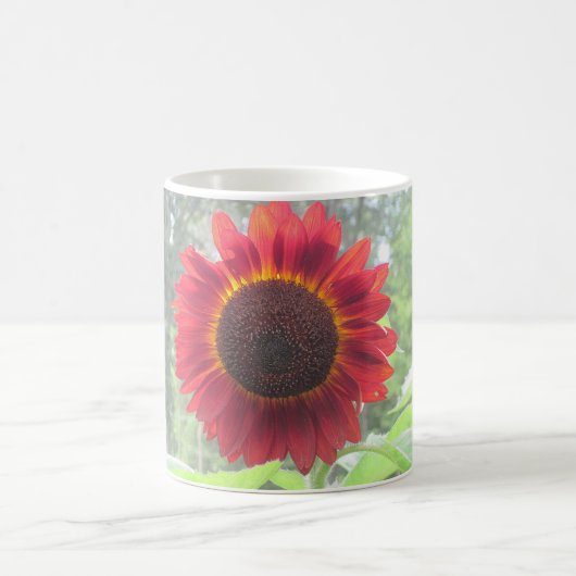 Rusty Red Sunflower Mok (Center)