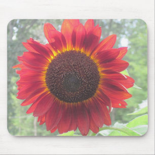 Rusty Red Sunflower Muismat
