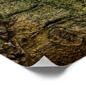 Rusty Red Truck  Poster (Hoek)