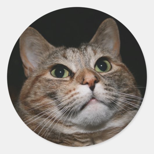 Rusty Ronde Sticker (Voorkant)