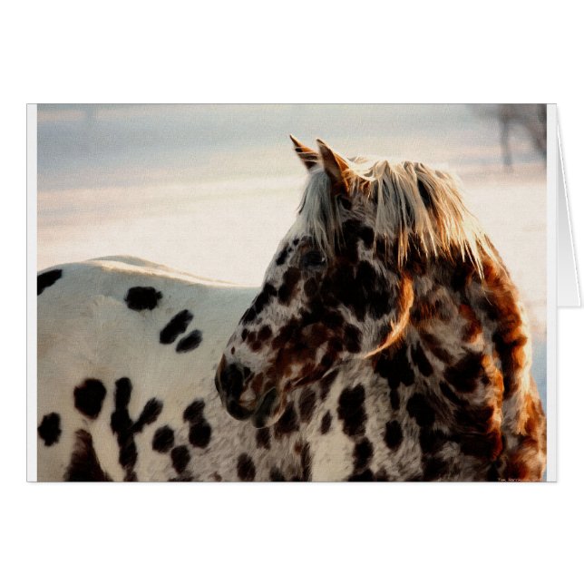 Rusty the Appaloosa (Devant horizontal)
