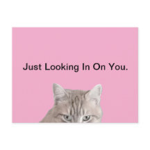 Rusty The Cat Pink Briefkaart