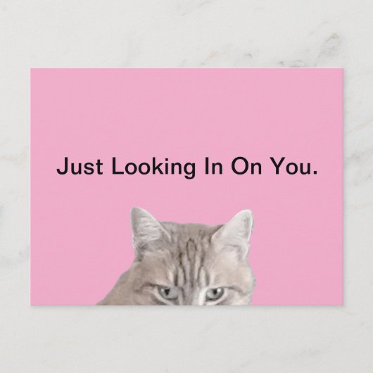 Rusty The Cat Pink Briefkaart (Voorkant)