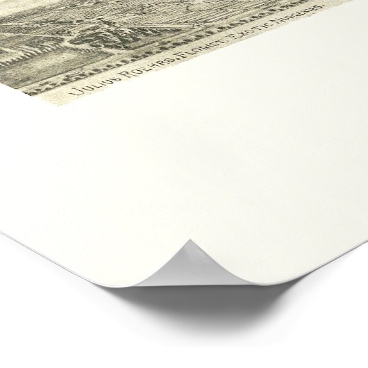 Rutherford, NJ Panoramic Map - 1904 Poster (Hoek)