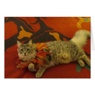 Ruthie the Cat