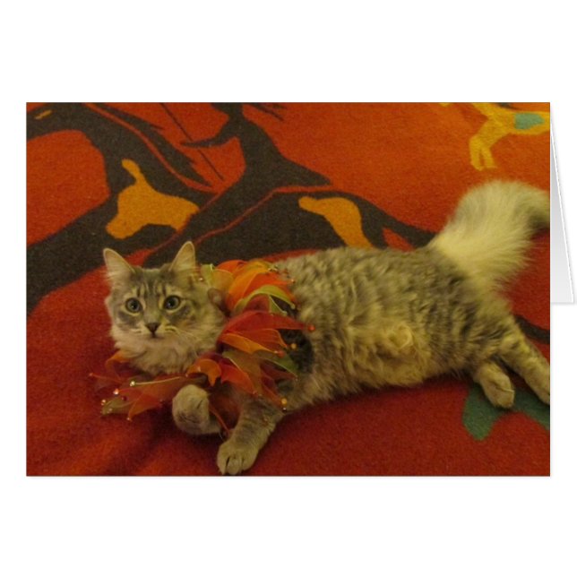 Ruthie the Cat (Voorkant Horizontaal)