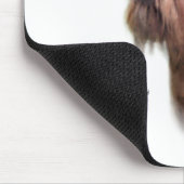 Ruw Brussel Griffon Geschiedenis Muismat (Hoek)