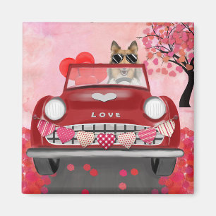 Ruw Collie-hond Auto met Hartjes Valentijn Magneet