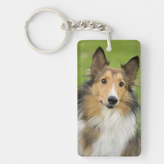 Ruw Collie, hond Sleutelhanger (Voorkant)