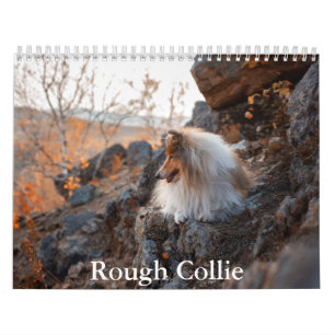 Ruw Collie Kalender