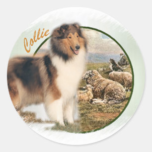 Ruw collie Keeper van de schapen Ronde Sticker