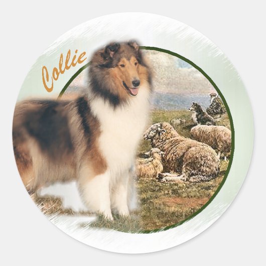 Ruw collie Keeper van de schapen Ronde Sticker (Voorkant)