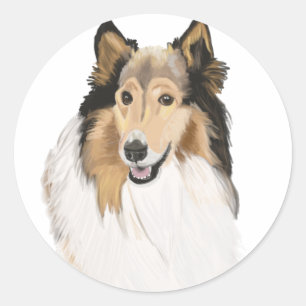 Ruw collie, lang gespierd collie portret ronde sticker