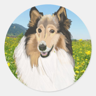 Ruw collie, lang gespierd collie portret ronde sticker