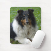 Ruw Collie Muismat (Met muis)