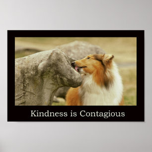 Ruw Collie Poster "Kindness is Contagiant"