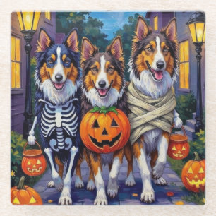 Ruw Collie Trick-or-Treating Halloween Kostuums Glazen Onderzetter