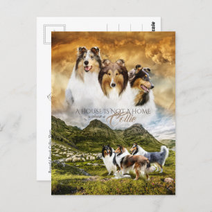 Ruw Collies Portrait & Sheep Herding + Quote - Briefkaart