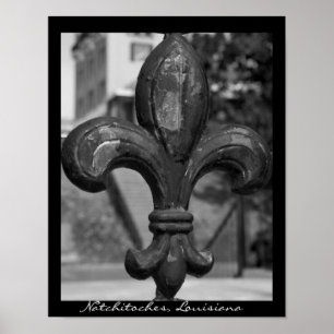 Ruw ijzer Fleur de lis Natchitoches Poster
