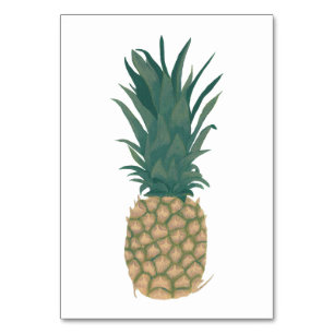 Ruwe ananashuid, bijvoeglijke lezing flashcards kaart