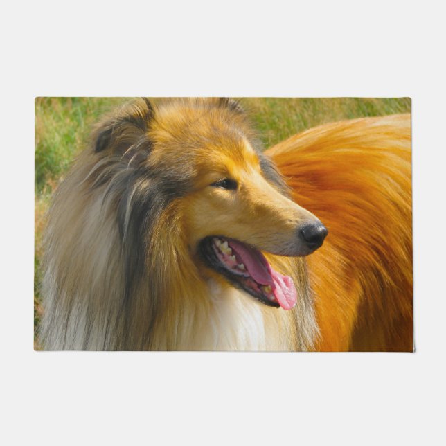 Ruwe Collie. Deurmat (Voorkant)