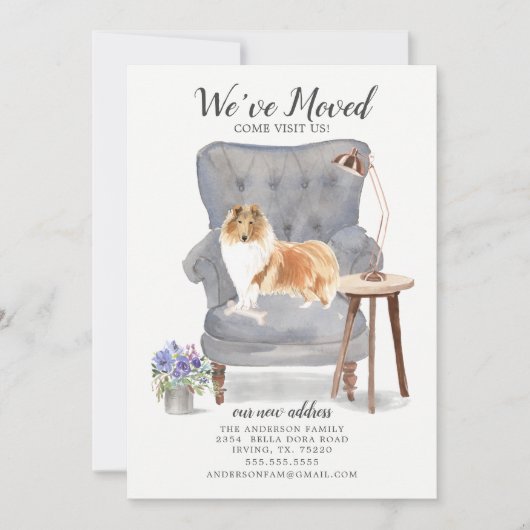 Ruwe Collie Dog We hebben de aankondiging verplaat (Voorkant)