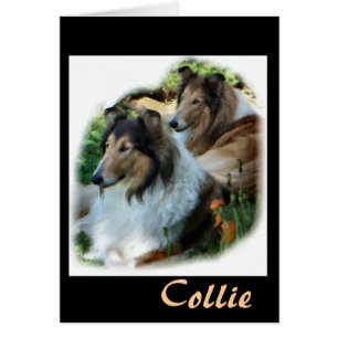 Ruwe Collie Gift of Art