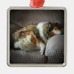 Ruwe collie op een stoel metalen ornament