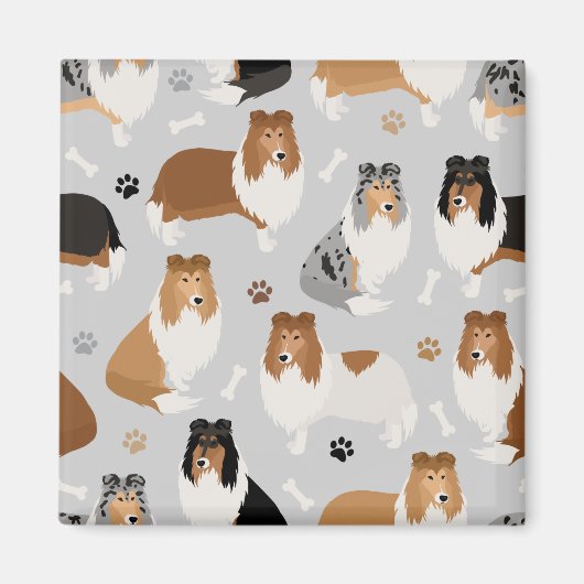Ruwe Collie Paws en Botten Magnet Magneet (Voorkant)