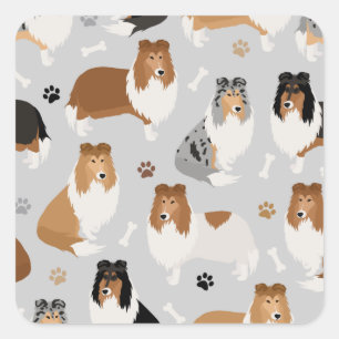 Ruwe collie Paws en Botten Square Sticker