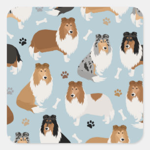 Ruwe Collie Paws en Botten Vierkante Sticker