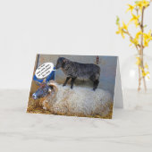 Ruwe Dag voor Ooi Kaart (Gele Bloem)