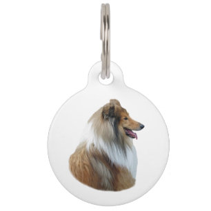 Ruwe foto van Collie dog portret Huisdierpenning