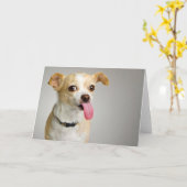 Ruwe Kaart Chihuahua (Gele Bloem)