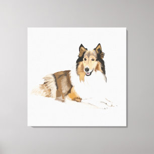 Ruwe, Langharige Collie Canvas Afdruk