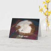 Ruwe Week? Kaart (Gele Bloem)