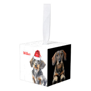 Ruwharige Dachshund Twee Foto Kerstvakantie Kubus Ornament