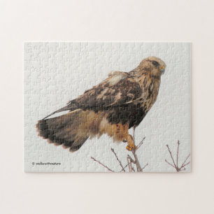 Ruwleggende Hawk in de boom Legpuzzel