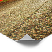 RV Flyby Poster (Hoek)