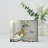 RvE Briefkaart (Staand voorkant)