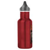 RVS waterfles (Links)