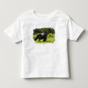 Rwanda, Nationaal Park Volcanoes Kinder Shirts