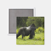 Rwanda, Volcanoes National Park Magneet (Voorkant / Achterkant)