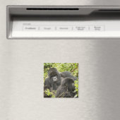 Rwanda, Volcanoes National Park Magneet (Insitu (Vaatwasser))